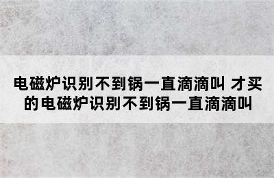 电磁炉识别不到锅一直滴滴叫 才买的电磁炉识别不到锅一直滴滴叫